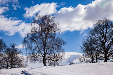 
Winter landscape in Romania