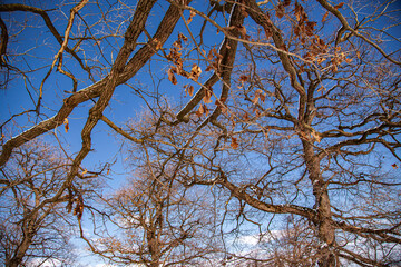 Winter landscape in Romania