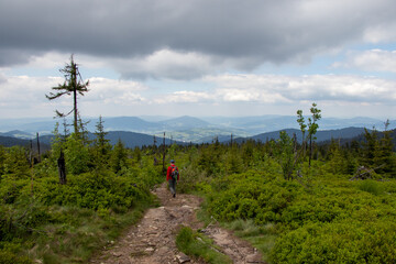 Obraz premium hiking in the mountains