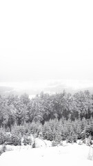 Fototapeta na wymiar Vernebelte Schneebedeckte Landschaft