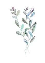 Watercolor illustration. Tender, thin twig of grass. 
Decor elemrnt