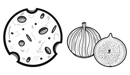 Contour cheese and fig icons. Creative illustrations. Black sketch. Idea for decors, logo, patterns, papers, covers, gifts, celebrations and holidays, organic food themes. Isolated vector art.
