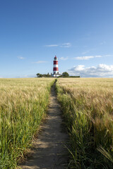 Way leading to the Happisburgh Lighthouse through the scenic field