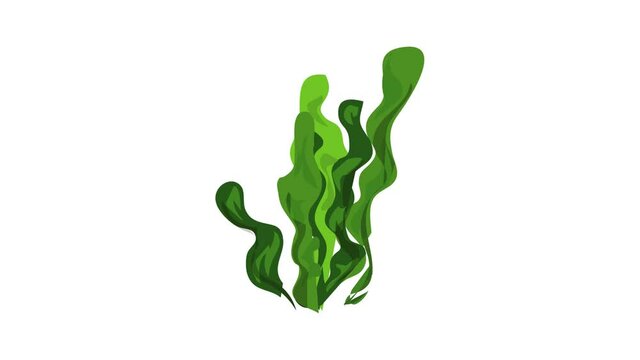 Seaweed icon animation