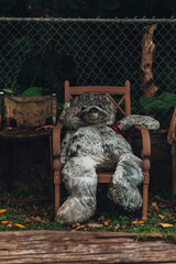 Teddy in a garden chair