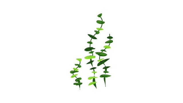 Aquarium long plants icon animation