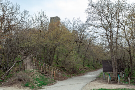 The ruins of the ancient walls of the Georgian fortress Ujarma