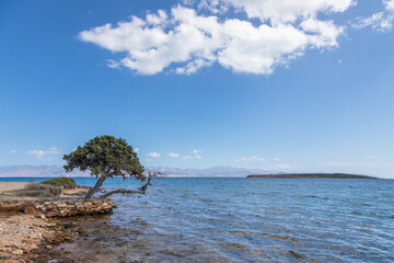 Coast of the island of Paros, Greece.