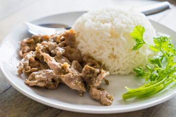 Thai style food, pork fried with crunchy garlic