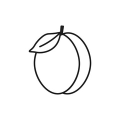 Plum icon. Vector. Line style.
