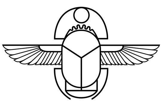 Vector illustration of a scarab line with lines. Stylized drawing of a scarab.