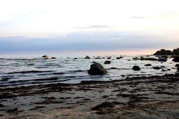 Blick auf die Ostsee und die vielen Seevögel bei Soelvesborg in Schweden. Schweden, Europa   --
View over the Baltic Sea and the numerous sea birds near Soelvesborg in Sweden. Sweden, Europe