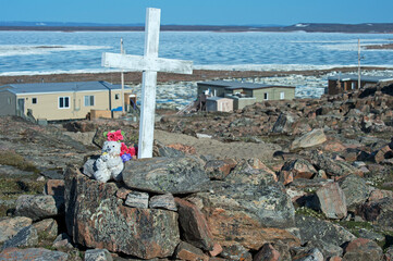 Fototapeta premium High Arctic life