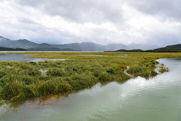 Durch die Flut  überschwemmte Salzwiesen am Meer an der Küste von Katmai,  Alaska - Der hohe...