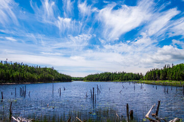 Beautiful pond with wispy clouds above