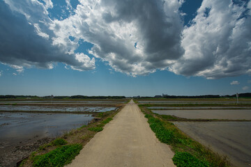 春の田園地帯,田植え前