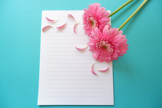 150 BEST Daysies IMAGES, STOCK PHOTOS u0026 VECTORS  Adobe Stock
