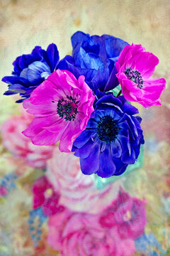 Beautiful bouquet of spring anemone flowers in a vase on the table. Lovely bunch of flowers.
