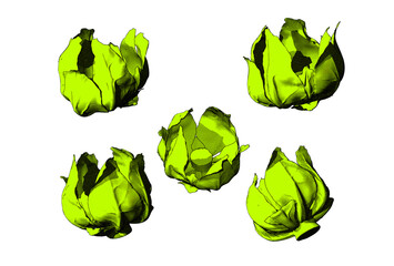Engraving cauliflower leaves illustration set isolated on white BG