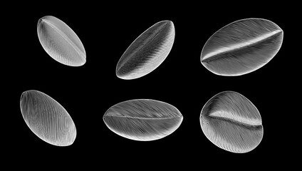 Engraving coffee bean vector illustration set isolated on black BG