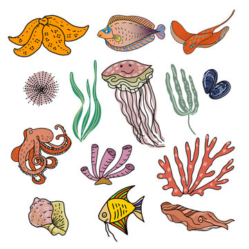 sea animals bright children's cute pictures drawn by the way stickers stars algae seashells rainbow clouds fish jellyfish octopus set print textiles paper