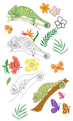 Chameleon animals exotic hand drawn coloring game maze for kids with lettering and alphabet print book