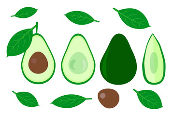 Ripe Avocado isolated on white with green leaves, vector set