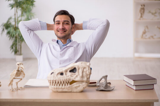 Young male paleontologist examining ancient animals at lab