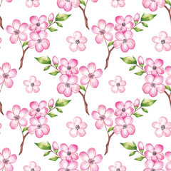 Watercolor cherry blossom pattern