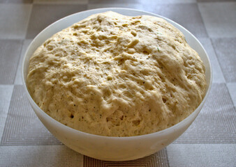 yeast dough for pizza, raw in a bowl