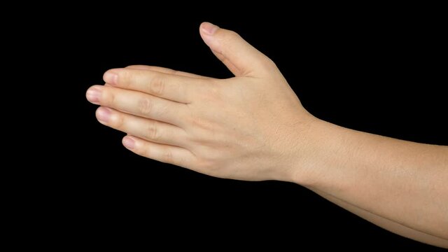 Hands Clapping Congratulation Sign With Alpha Channel
