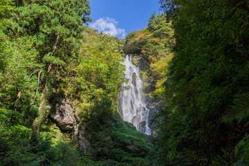 Naklejka na ściany i meble 西日本最大級の名瀑 (日本 - 岡山 - 神庭の滝)