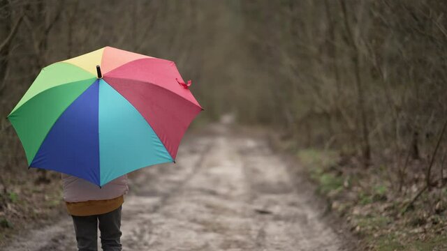 The child walks in the park with a colorful umbrella. The girl walks through the woods with trees in a landscape in rainy weather.