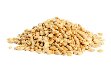 Pile Wheat isolated on white, top view. Heap of Wheat isolated on white background. Wheat isolated on white background, top view. Grains of barley on a white background. Wheat seeds triticum durum.