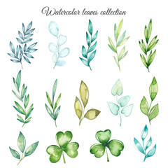 Watercolor leaf collection
