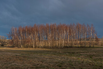 Sunset near Spicak hill in Krusne mountains in north Bohemia in winter day