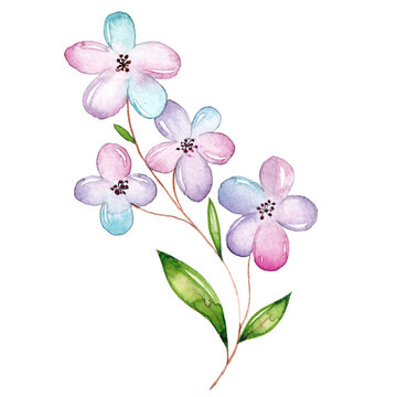 Colorful watercolor flower branch