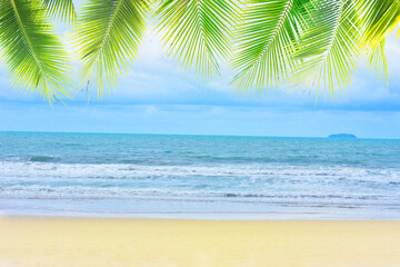 Fototapeta na wymiar Vacation beach with palm trees leaf