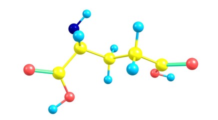 Glutamic acid molecular structure isolated on white