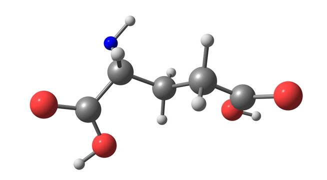 Glutamic acid molecular structure isolated on white