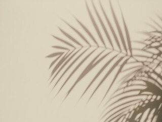 Fototapeta premium Abstract neutral nature background with sunlight and shadow of tropical palm leaves. Creative minimal summer travel concept with gray shadow palm tree leaf. Blurred background. Flat lay. Mock up