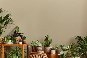 Tuinposter Stylish composition of home garden interior filled a lot of beautiful plants, cacti, succulents, air plant in different design pots. Home gardening concept Home jungle. Copy spcae. Template © FollowTheFlow
