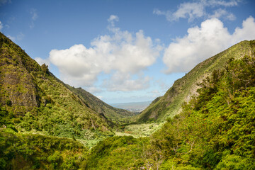 Naklejka premium Maui’s Iao Valley State Park