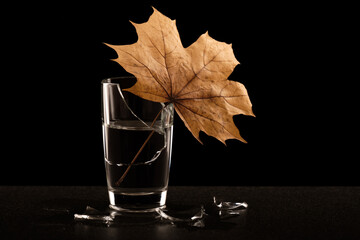 still life of an autumn leaf inserted into a broken glass of water