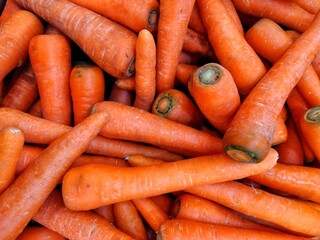 bunch of carrots