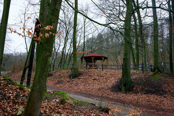 rest without people and without masks in nature
a gazebo in a beautiful autumn forest where you can...