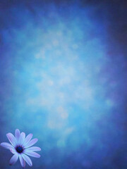 flower background with space for text