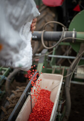 Corn seeds in seeder box in field