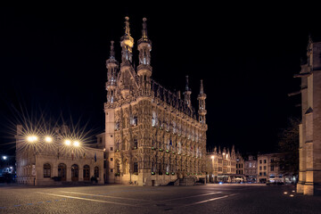 Fototapeta na wymiar The City Hall of Leuven, Belgium