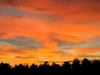 Fototapeta na wymiar Sunset silhouette - orange red clouds in the sky over tree tops 